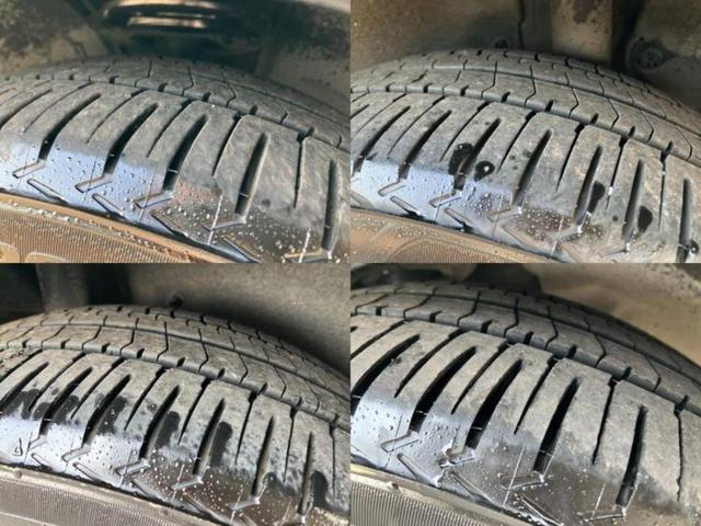 �u���̎Ԃ̎ʐ^�������ƌ������v�u��Ԃ��C�ɂȂ�v�u���̑����͂��Ă���H�v�ǂ�ȏ����ȋ^��ł����C�y�ɂ��₢���킹���������I