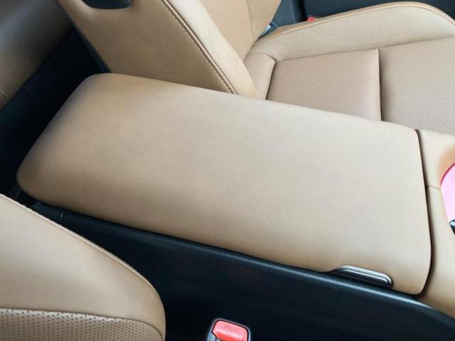 �u���̎Ԃ̎ʐ^�������ƌ������v�u��Ԃ��C�ɂȂ�v�u���̑����͂��Ă���H�v�ǂ�ȏ����ȋ^��ł����C�y�ɂ��₢���킹���������I