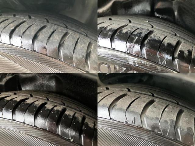 �u���̎Ԃ̎ʐ^�������ƌ������v�u��Ԃ��C�ɂȂ�v�u���̑����͂��Ă���H�v�ǂ�ȏ����ȋ^��ł����C�y�ɂ��₢���킹���������I