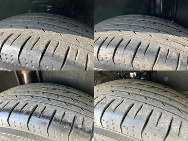 �u���̎Ԃ̎ʐ^�������ƌ������v�u��Ԃ��C�ɂȂ�v�u���̑����͂��Ă���H�v�ǂ�ȏ����ȋ^��ł����C�y�ɂ��₢���킹���������I