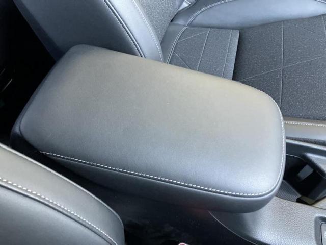 �u���̎Ԃ̎ʐ^�������ƌ������v�u��Ԃ��C�ɂȂ�v�u���̑����͂��Ă���H�v�ǂ�ȏ����ȋ^��ł����C�y�ɂ��₢���킹���������I