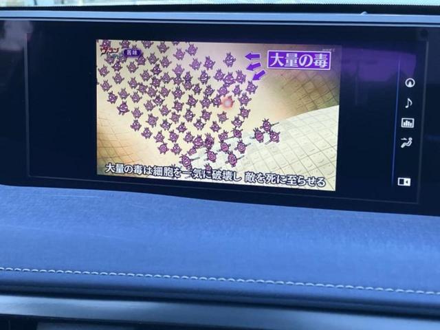 ＵＸ ＵＸ２５０ｈ　保証書／純正　ＳＤナビ／衝突安全装置／車線逸脱防止支援システム／電動バックドア／ドライブレコーダー　純正／ヘッドランプ　ＬＥＤ／ＵＳＢジャック／Ｂｌｕｅｔｏｏｔｈ接続／ＥＴＣ２．０／ＥＢＤ付ＡＢＳ（12枚目）