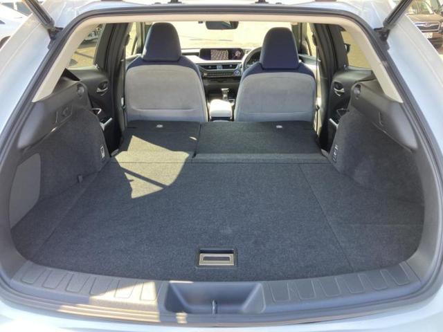 ＵＸ ＵＸ２５０ｈ　保証書／純正　ＳＤナビ／衝突安全装置／車線逸脱防止支援システム／電動バックドア／ドライブレコーダー　純正／ヘッドランプ　ＬＥＤ／ＵＳＢジャック／Ｂｌｕｅｔｏｏｔｈ接続／ＥＴＣ２．０／ＥＢＤ付ＡＢＳ（19枚目）