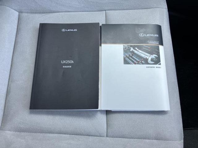 ＵＸ ＵＸ２５０ｈ　保証書／純正　ＳＤナビ／衝突安全装置／車線逸脱防止支援システム／電動バックドア／ドライブレコーダー　純正／ヘッドランプ　ＬＥＤ／ＵＳＢジャック／Ｂｌｕｅｔｏｏｔｈ接続／ＥＴＣ２．０／ＥＢＤ付ＡＢＳ（34枚目）