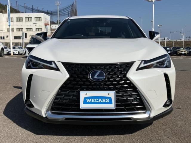 ＵＸ ＵＸ２５０ｈ　保証書／純正　ＳＤナビ／衝突安全装置／車線逸脱防止支援システム／電動バックドア／ドライブレコーダー　純正／ヘッドランプ　ＬＥＤ／ＵＳＢジャック／Ｂｌｕｅｔｏｏｔｈ接続／ＥＴＣ２．０／ＥＢＤ付ＡＢＳ（44枚目）