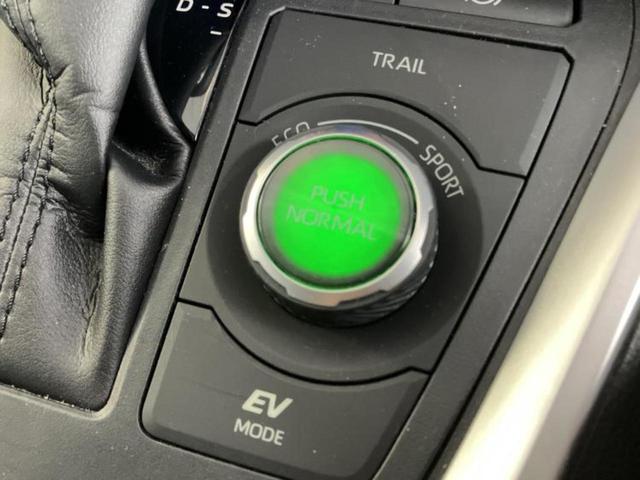RAV4 4WDハイブリッドG 新品タイヤ/サンルーフ/保証書/ディスプレイオーディオ+ナビ9インチ/衝突安全装置/シートヒーター 前席/パノラミックビューモニター/車線逸脱防止支援システム/シート 合皮/電動バックドア 電動シート(43枚目)