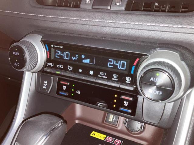 �u���̎Ԃ̎ʐ^�������ƌ������v�u��Ԃ��C�ɂȂ�v�u���̑����͂��Ă���H�v�ǂ�ȏ����ȋ^��ł����C�y�ɂ��₢���킹���������I