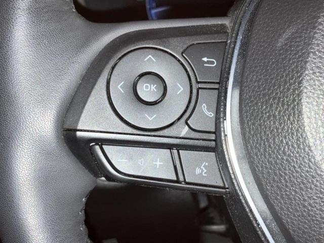 �v�d�b�`�q�r�̓W����ł͎��ۂɌ��āA�G���Ă��Ԃ����I�т��������܂��I�m���̖L�x�ȉc�ƃX�^�b�t���l�X�ȃJ�[���C�t������Ă������܂��I