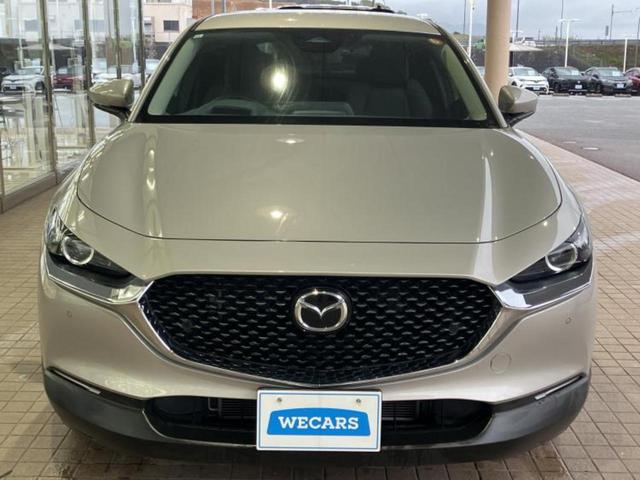 ������̂��Ԃ͂������ł��傤���H�����ł��C�ɂȂ��Ă��������܂����琥�񂨖₢���킹���������I����ɂ��Ԃ̏ڍׂ������肢�����܂��I