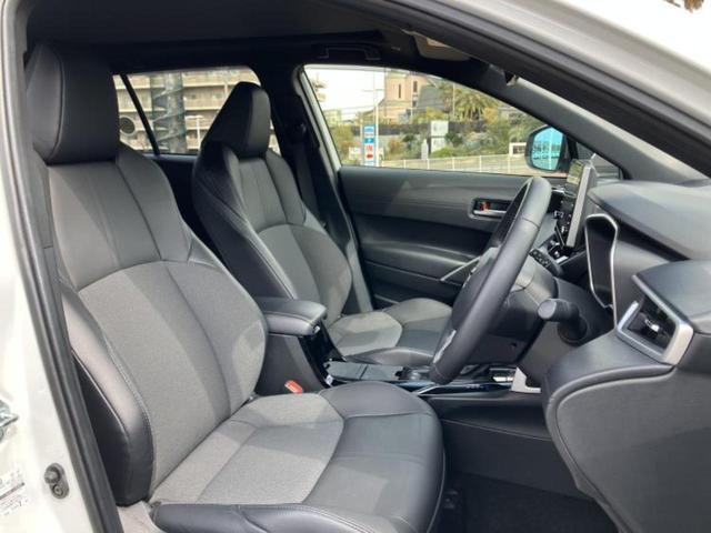 �u���̎Ԃ̎ʐ^�������ƌ������v�u��Ԃ��C�ɂȂ�v�u���̑����͂��Ă���H�v�ǂ�ȏ����ȋ^��ł����C�y�ɂ��₢���킹���������I