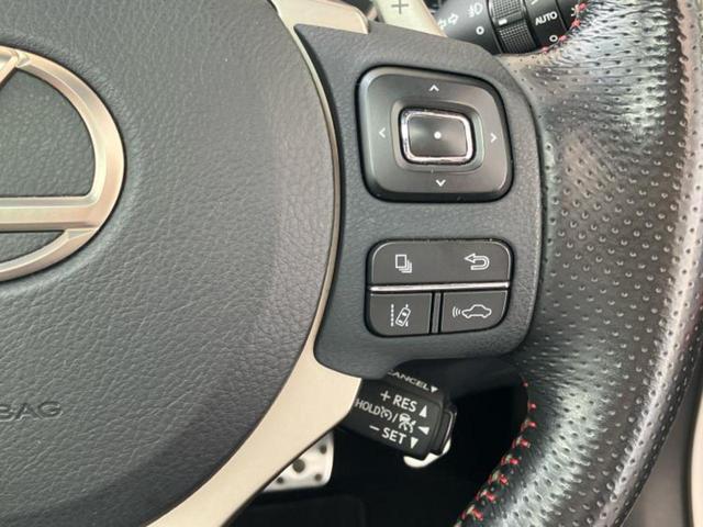 ＮＸ ＮＸ３００Ｆスポーツ　サンルーフ／保証書／純正　ＳＤナビ／衝突安全装置／エアーシート　前席／車線逸脱防止支援システム／シート　フルレザー／パーキングアシスト　バックガイド／電動バックドア／ドライブレコーダー　前後　革シート（30枚目）