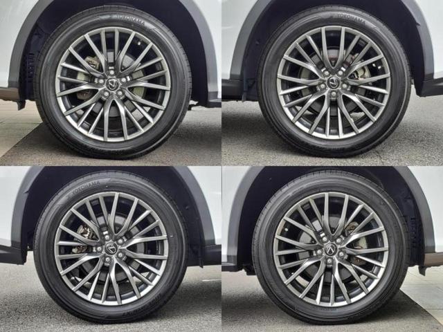 ＲＸ ＲＸ２００ｔ　Ｆスポーツ　純正　ＳＤナビ／プリクラッシュセーフティ／シートヒーター　前席／パノラミックビューモニター／シート　合皮／電動バックドア／ドライブレコーダー　社外／ヘッドランプ　ＬＥＤ／Ｂｌｕｅｔｏｏｔｈ接続　ＥＴＣ（58枚目）