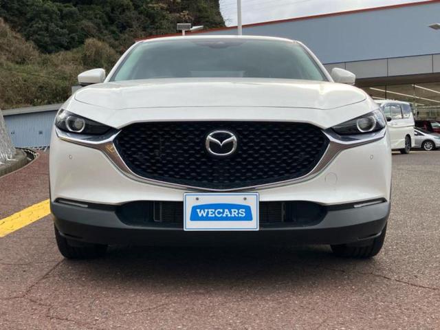 ＣＸ－３０ ２０Ｓ　新品タイヤ／保証書／純正　ＳＤナビ／衝突安全装置／車線逸脱防止支援システム／ヘッドランプ　ＬＥＤ／Ｂｌｕｅｔｏｏｔｈ接続／ＥＴＣ／ＥＢＤ付ＡＢＳ／横滑り防止装置／アイドリングストップ　バックカメラ（45枚目）