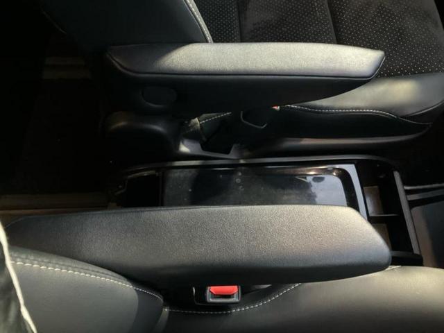 �u���̎Ԃ̎ʐ^�������ƌ������v�u��Ԃ��C�ɂȂ�v�u���̑����͂��Ă���H�v�ǂ�ȏ����ȋ^��ł����C�y�ɂ��₢���킹���������I