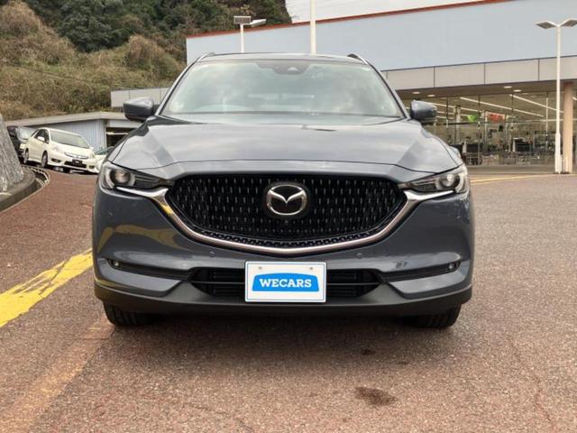 CX-8 XD Lパッケージ 新品タイヤ/BOSE/保証書/純正 SDナビ/フリップダウンモニター/アイアクティブセンス(マツダ)/エアーシート 前席/360°ビューモニター/車線逸脱防止支援システム/シート フルレザー 革シート(46枚目)