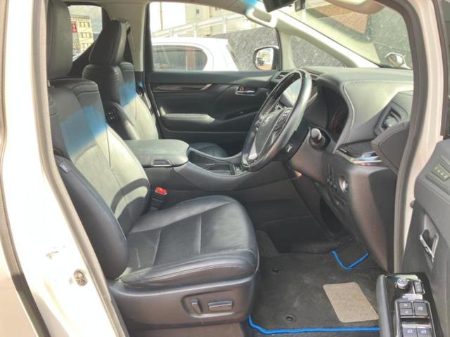 �u���̎Ԃ̎ʐ^�������ƌ������v�u��Ԃ��C�ɂȂ�v�u���̑����͂��Ă���H�v�ǂ�ȏ����ȋ^��ł����C�y�ɂ��₢���킹���������I