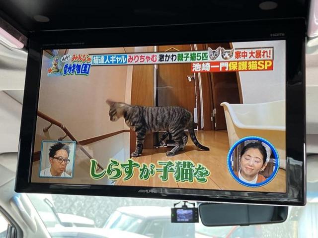 �i�r�A�h�����R�A�d�s�b�A�t���b�v�_�E�����j�^�[�A�f�W�^���C���i�[�~���[�������c��t���\�ł��I�I�v�V�������L�x�Ɏ�葵���Ă���܂��̂ł����S���������I