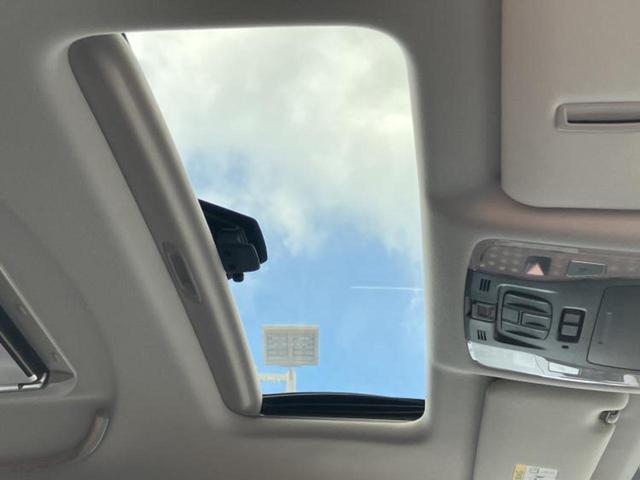 �u���̎Ԃ̎ʐ^�������ƌ������v�u��Ԃ��C�ɂȂ�v�u���̑����͂��Ă���H�v�ǂ�ȏ����ȋ^��ł����C�y�ɂ��₢���킹���������I