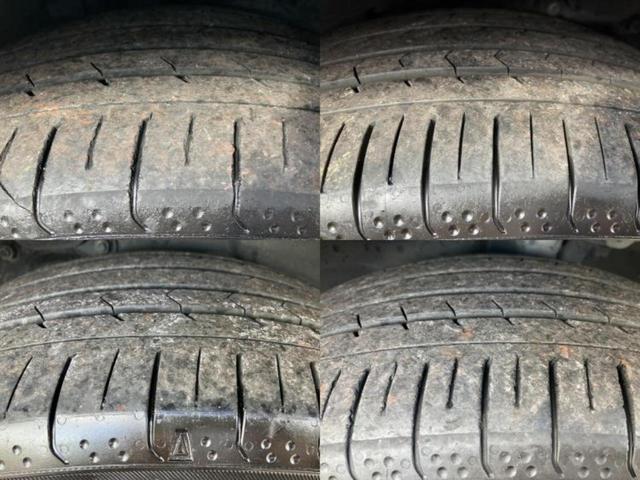 �u���̎Ԃ̎ʐ^�������ƌ������v�u��Ԃ��C�ɂȂ�v�u���̑����͂��Ă���H�v�ǂ�ȏ����ȋ^��ł����C�y�ɂ��₢���킹���������I