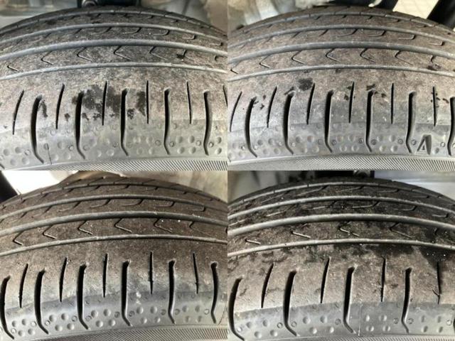 �u���̎Ԃ̎ʐ^�������ƌ������v�u��Ԃ��C�ɂȂ�v�u���̑����͂��Ă���H�v�ǂ�ȏ����ȋ^��ł����C�y�ɂ��₢���킹���������I