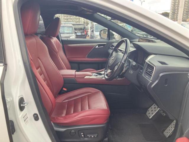 �u���̎Ԃ̎ʐ^�������ƌ������v�u��Ԃ��C�ɂȂ�v�u���̑����͂��Ă���H�v�ǂ�ȏ����ȋ^��ł����C�y�ɂ��₢���킹���������I