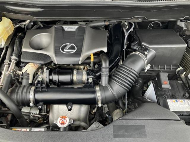 �S���ɓX�܂�W�J���Ă���̂łǂ��ł������񂹂��\�ł��I���̎Ԃ��C�ɂȂ邯�ǉ���������E�E�E�ƒ��߂�K�v�͂���܂���I���ʓr������K�v�ł��B