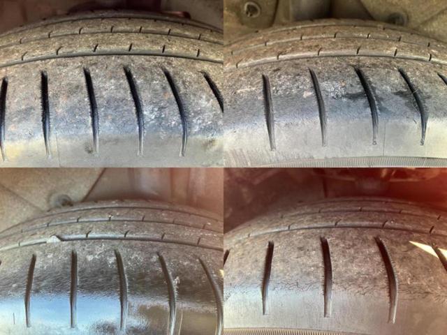 �u���̎Ԃ̎ʐ^�������ƌ������v�u��Ԃ��C�ɂȂ�v�u���̑����͂��Ă���H�v�ǂ�ȏ����ȋ^��ł����C�y�ɂ��₢���킹���������I