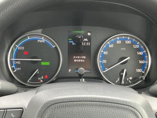 �v�d�b�`�q�r�̓W����ł͎��ۂɌ��āA�G���Ă��Ԃ����I�т��������܂��I�m���̖L�x�ȉc�ƃX�^�b�t���l�X�ȃJ�[���C�t������Ă������܂��I