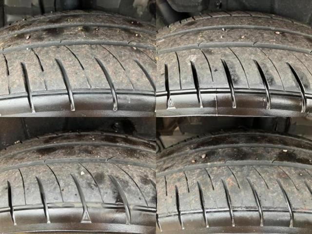 �u���̎Ԃ̎ʐ^�������ƌ������v�u��Ԃ��C�ɂȂ�v�u���̑����͂��Ă���H�v�ǂ�ȏ����ȋ^��ł����C�y�ɂ��₢���킹���������I