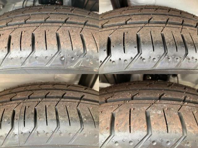 �u���̎Ԃ̎ʐ^�������ƌ������v�u��Ԃ��C�ɂȂ�v�u���̑����͂��Ă���H�v�ǂ�ȏ����ȋ^��ł����C�y�ɂ��₢���킹���������I