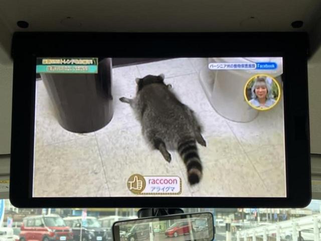 セレナ ハイウェイスターVセレクション2 保証書/純正 SDナビ/フリップダウンモニター 純正 11インチ/インテリジェントルームミラー/エマージェンシーブレーキ/両側電動スライドドア/アラウンドビューモニター/車線逸脱防止支援システム(12枚目)