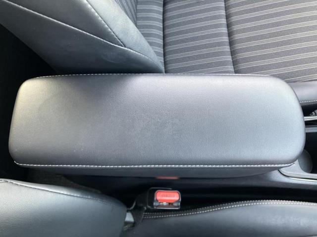 �u���̎Ԃ̎ʐ^�������ƌ������v�u��Ԃ��C�ɂȂ�v�u���̑����͂��Ă���H�v�ǂ�ȏ����ȋ^��ł����C�y�ɂ��₢���킹���������I