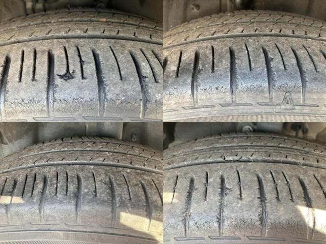 �u���̎Ԃ̎ʐ^�������ƌ������v�u��Ԃ��C�ɂȂ�v�u���̑����͂��Ă���H�v�ǂ�ȏ����ȋ^��ł����C�y�ɂ��₢���킹���������I