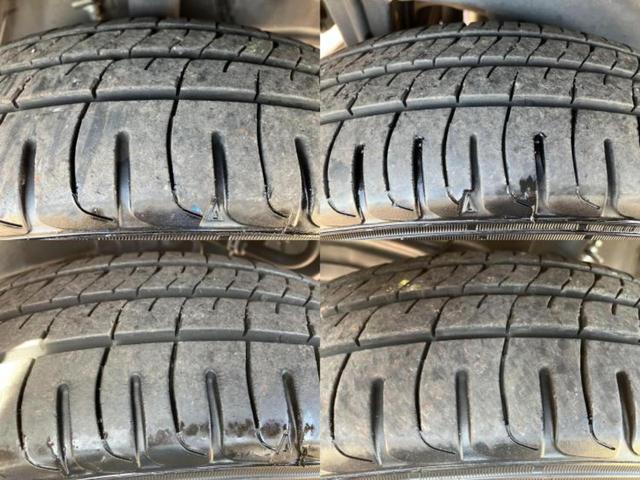 �u���̎Ԃ̎ʐ^�������ƌ������v�u��Ԃ��C�ɂȂ�v�u���̑����͂��Ă���H�v�ǂ�ȏ����ȋ^��ł����C�y�ɂ��₢���킹���������I