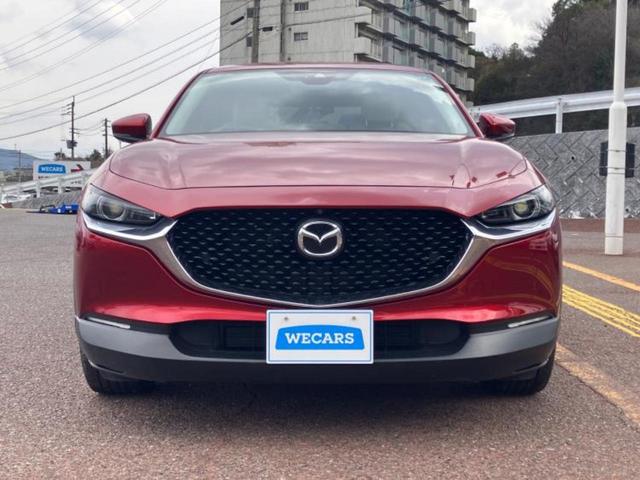 ������̂��Ԃ͂������ł��傤���H�����ł��C�ɂȂ��Ă��������܂����琥�񂨖₢���킹���������I����ɂ��Ԃ̏ڍׂ������肢�����܂��I