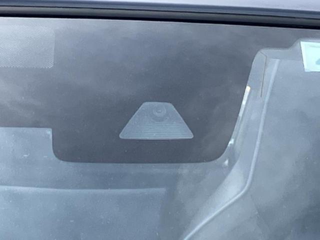 �v�d�b�`�q�r�̓W����ł͎��ۂɌ��āA�G���Ă��Ԃ����I�т��������܂��I�m���̖L�x�ȉc�ƃX�^�b�t���l�X�ȃJ�[���C�t������Ă������܂��I