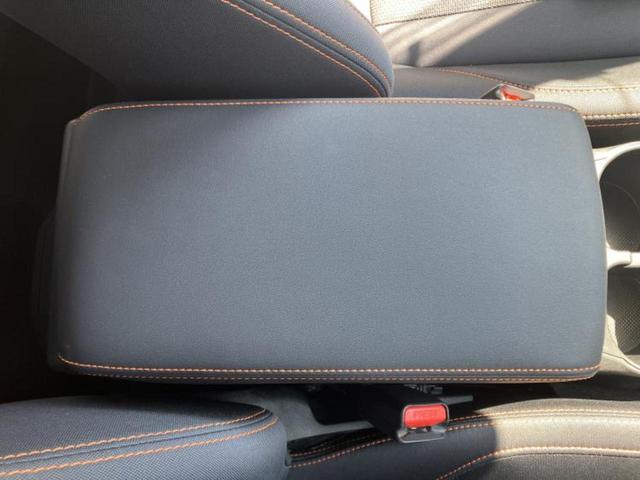 �u���̎Ԃ̎ʐ^�������ƌ������v�u��Ԃ��C�ɂȂ�v�u���̑����͂��Ă���H�v�ǂ�ȏ����ȋ^��ł����C�y�ɂ��₢���킹���������I