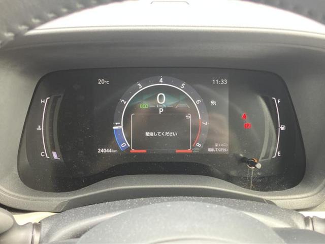 �v�d�b�`�q�r�̓W����ł͎��ۂɌ��āA�G���Ă��Ԃ����I�т��������܂��I�m���̖L�x�ȉc�ƃX�^�b�t���l�X�ȃJ�[���C�t������Ă������܂��I