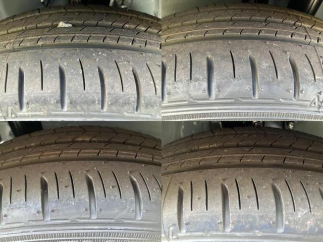 �u���̎Ԃ̎ʐ^�������ƌ������v�u��Ԃ��C�ɂȂ�v�u���̑����͂��Ă���H�v�ǂ�ȏ����ȋ^��ł����C�y�ɂ��₢���킹���������I