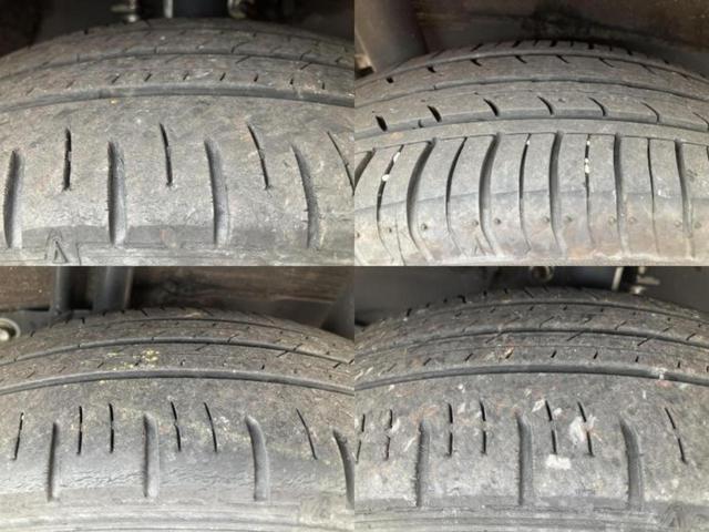 �u���̎Ԃ̎ʐ^�������ƌ������v�u��Ԃ��C�ɂȂ�v�u���̑����͂��Ă���H�v�ǂ�ȏ����ȋ^��ł����C�y�ɂ��₢���킹���������I