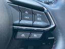 ４ＷＤ　ＸＤスポーツアピアランス　ＢＯＳＥ／保証書／純正　１０．２インチ　メモリーナビ／衝突安全装置／シートヒーター　前席／３６０°ビューモニター／車線逸脱防止支援システム／シート　フルレザー／電動バックドア／ドライブレコーダー　前後（29枚目）