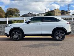 �ףţã��ңӤκ߸˥ڡ������������������ˤ��꤬�Ȥ��������ޤ����ףţã��ңӤϡ֤��������פ��åȡ��ˤ����ͤΥ����饤�դ����Ϥǥ��ݡ��Ȥ������ޤ��� 2