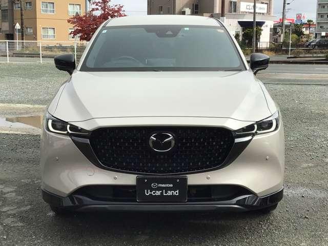 存在感のあるフロントフェイス。見る角度で表情も印象も変わる個性が魅力です。