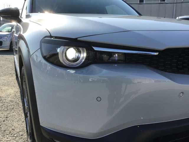 �V���[�v�ȃw�b�h���C�g�ƂȂ��Ă��蒋���킸���������������ڂ��l�C�ł��I