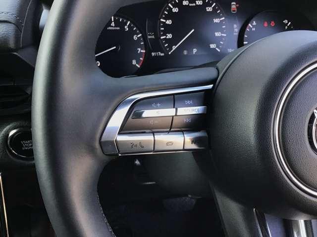 �㎿����������{�v�����X�e�A�����O�ł��B�I�[�f�B�I�R���g���[���^�N���[�Y�R���g���[�����̃X�C�b�`����������Ă��܂��B���茳�ŊȒP�ɑ���ł��܂���