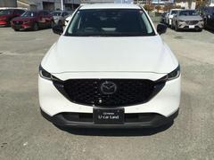 ۥ磻ȥܥǥ˥֥åΥ뤬褯礦 4