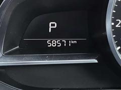 �ͣ��ڣģ��� �������������ӡ��ץ������ƥ��֡��������ɥ�쥳�����̥�˥����ե륻���ԣ֡����ƥ��֥졼�� 0802208A20260207Z005 5