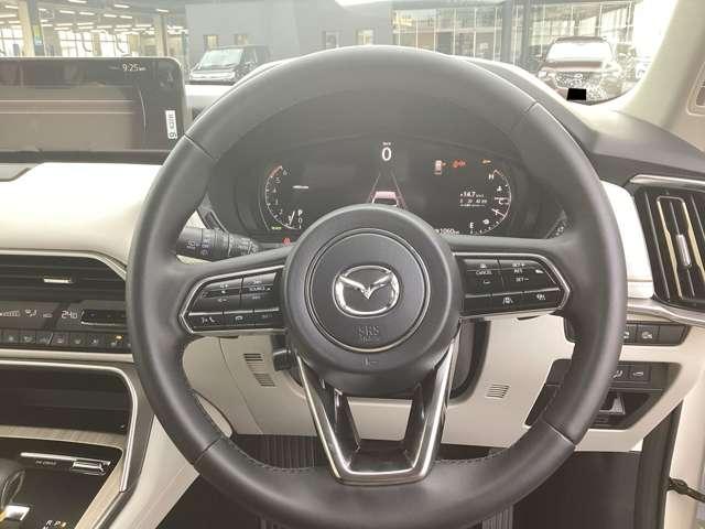 �㎿����������{�v�����X�e�A�����O�ł��B�I�[�f�B�I�R���g���[���^�N���[�Y�R���g���[�����̃X�C�b�`����������Ă��܂��B���茳�ŊȒP�ɑ���ł��܂���