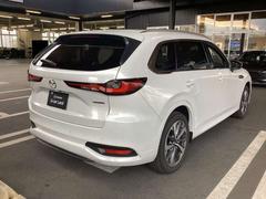 �����������Υ��륨�åȤ��Ω�����뤿������������ɵᡢ�ֲ��������Ƽ�Ǽ�����ΡפȤ����Ｑ���Ǥ��ˤꥪ���ץ󥫡��Ȥϻפ��ʤ��ۤɥꥢ�롼�դ򿭤Ӥ䤫�˥ǥ����󤷸����ؤ�����Ū�ʷ�����Ĥ��ꤢ���ޤ��� 6