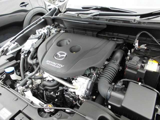 1.8 XD ディーゼルターボ 4WD (19枚目)